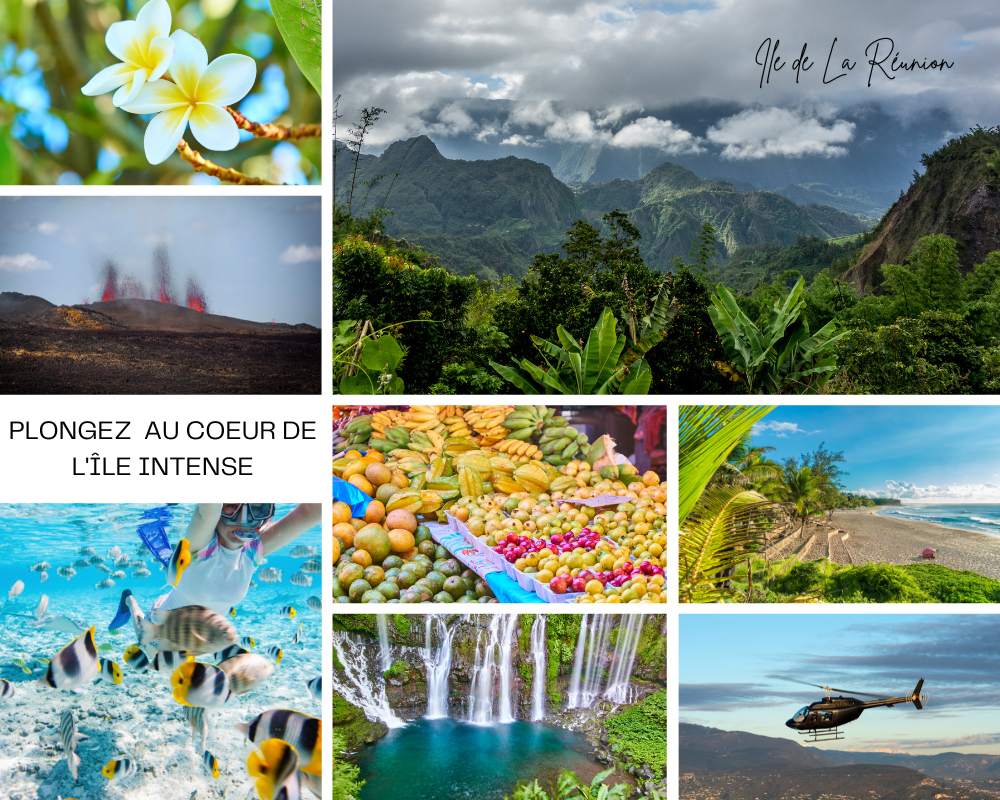activités sur l'île de la Réunion